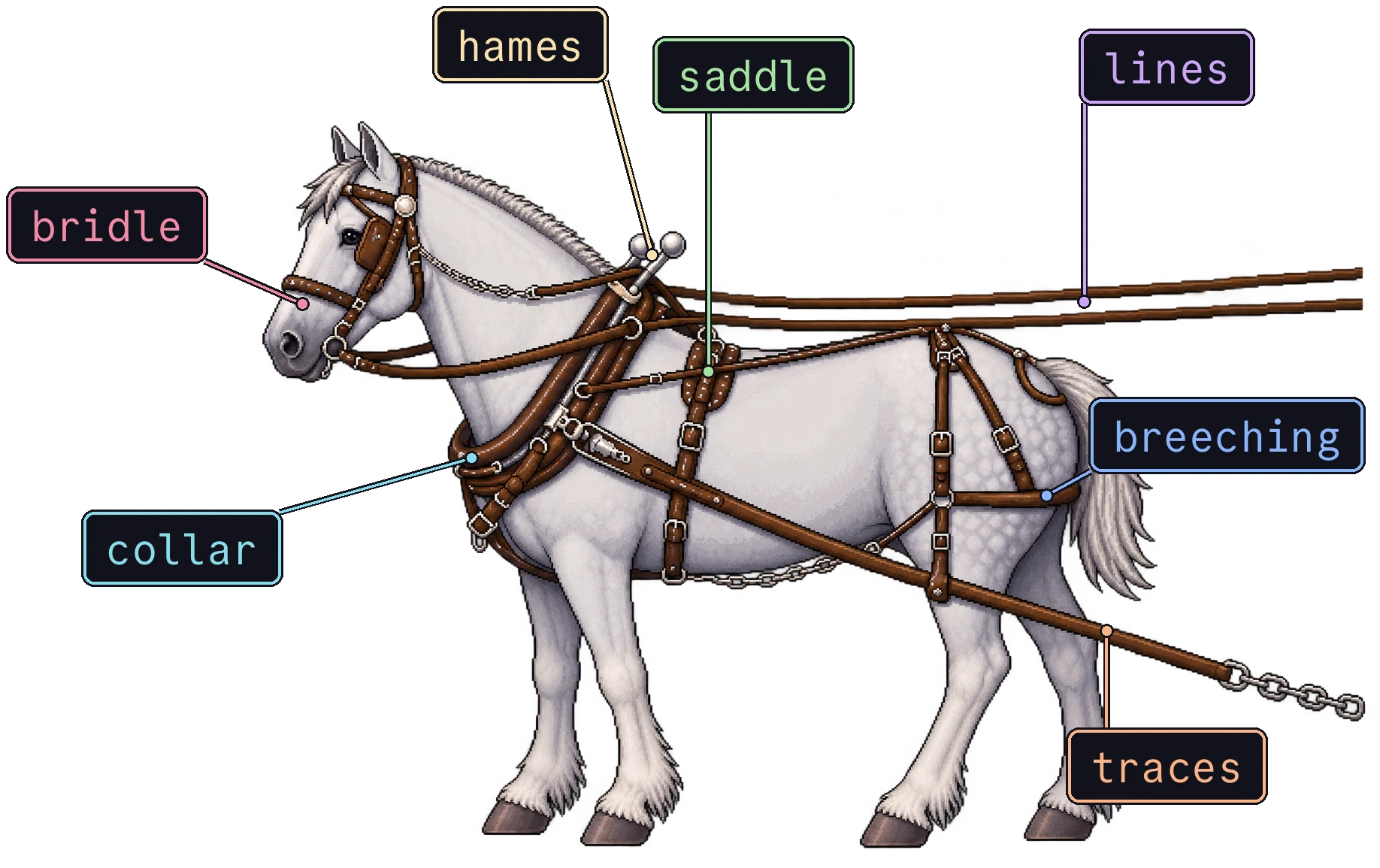 A horse Harness
